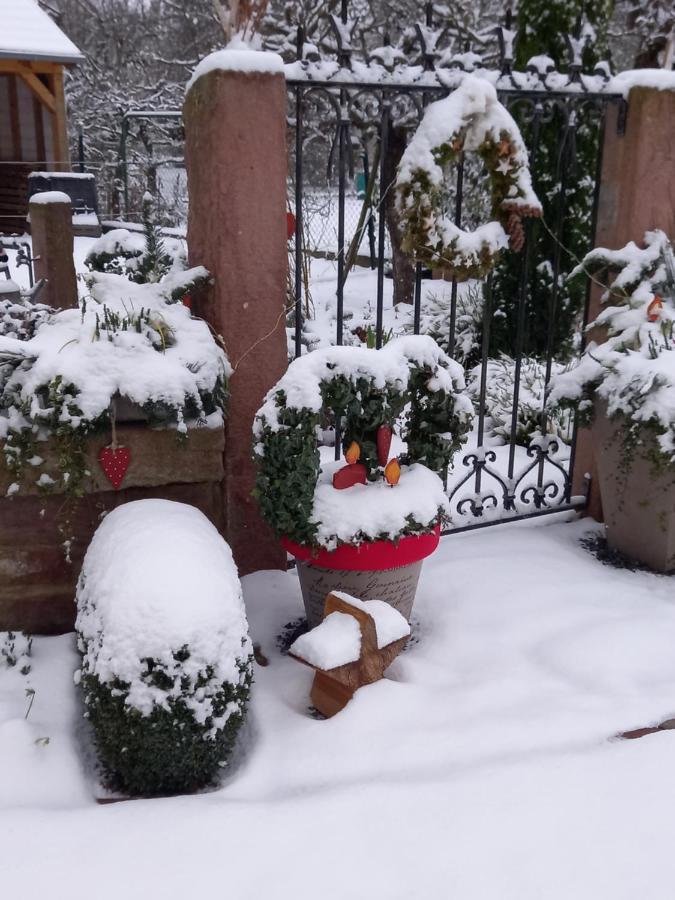 L'Alcove Des P'Tits Coeurs Villa Benfeld Exteriör bild